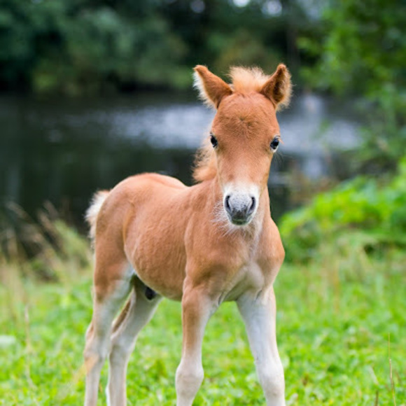 Meet your Posher, Jessica - Picture 1 of 1